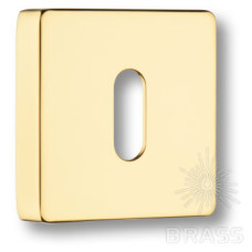 Накладка с овальным отверстием для ключа, глянцевое золото