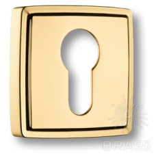 Накладка с цилиндрическим отверстием для ключа, глянцевое золото (компл)